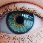 partes del ojo anatomia del ojo