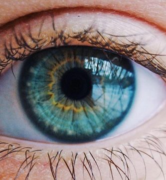 partes del ojo anatomia del ojo