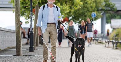 Las causas de ceguera más comunes