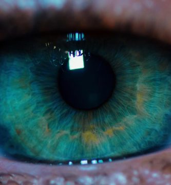 color-de-los-ojos Ojo humano / fotografía de ojos / cuidar los ojos
