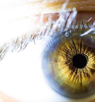 curiosidades-sobre-los-ojos Ojo humano / fotografía de ojos / cuidar los ojos
