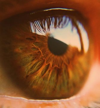 trasplante de córnea Ojo humano / fotografía de ojos / cuidar los ojos