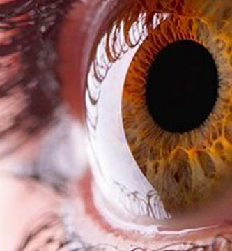 trastornos-en-la-cornea Ojo humano / fotografía de ojos / cuidar los ojos