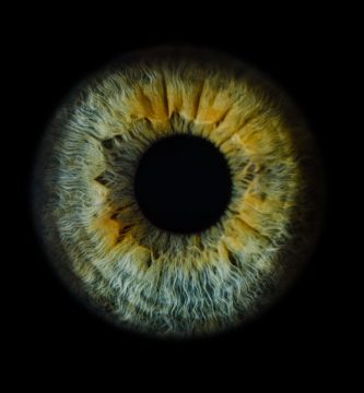Ojo humano / fotografía de ojos / cuidar los ojos