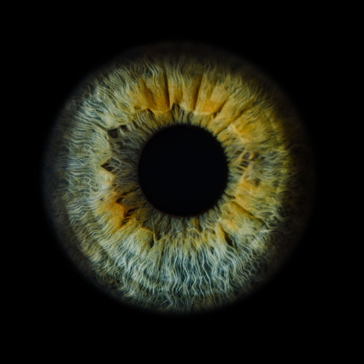 Ojo humano / fotografía de ojos / cuidar los ojos
